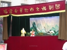 晋江布袋木偶戏（参加CCTV文化之旅--泉州演出现场）