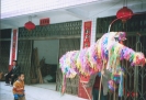 杨梅纸狮习俗7
