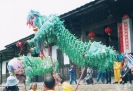 杨梅纸狮习俗8