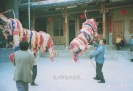 杨梅纸狮习俗9