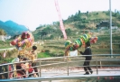 杨梅纸狮习俗10