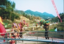 杨梅纸狮习俗13