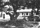 1926年的大开元寺庭，图中可见树荫下佛塔旁有一处放生池。