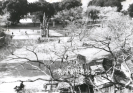 泉州市区中山公园