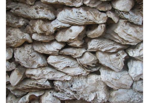 泉州蚵壳厝4幅（三）