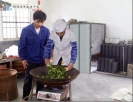 张顺儒炒青