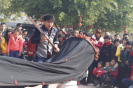 图117   温泉狮 摄影：唐和良