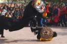 图115   温泉打狮 摄影：唐和良