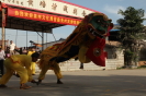 图40   黄塘狮阵