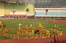 图11     新步小学狮阵在世界闽文化节的刣狮表演    摄影：孙秀锦