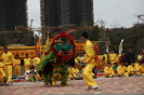 图57  石狮卢厝狮阵    摄影：孙秀锦