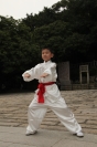 图69   桃源育英武馆武术队员的太祖拳表演     摄影：孙秀锦