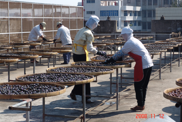 图22   源和堂蜜饯